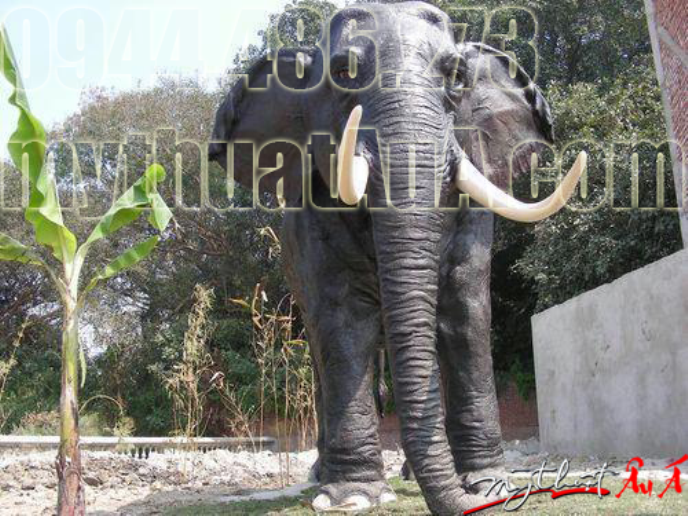 Đắp tượng con voi bằng xi măng